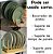Display para 6 Pratos de Bambu 27x12.5x12cm YOI 8108010036 - Imagem 3