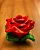 TAÇA DE VIDRO POMBAGIRA + OFERTADOR FORMATO DE ROSAS - 1020 - Imagem 3