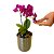Orquídea no Vaso Chumbo - Imagem 2