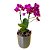 Orquídea no Vaso Chumbo - Imagem 1