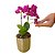 Orquídea no Vaso Dourado - Imagem 2
