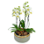 Orquídeas (Brancas ou Pink) Vaso Verde - Imagem 1