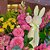 *Flower Box Páscoa M - Imagem 2