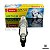 Jogo Velas de Ignição Iridium Power Denso Grau 8 Audi VW EA211 1.0 1.4 TSI Up Polo 5309 IXU24 - Imagem 6