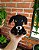 Seu Pet em Amigurumi - Imagem 2