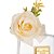 Garrafa Difusor Wiogi 360ml - Imagem 2