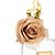 Garrafa Difusor Wiogi 360ml - Imagem 5