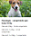 Vermífugo Drontal Plus para Cães 10 Kg - 4 Comprimidos - Imagem 5