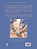 Dom Quixote de La Mancha em Graphic novel - Imagem 4