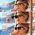 Óculos Clip-on Feminino Carrera - CA3036/C 0T7 53 - Imagem 2