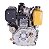 Motor Buffalo Bfde 10.0 Diesel 3600rpm Com Redutor P. Eletrica - Imagem 1