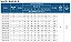 Bomba Submersa Leão 4r4 Pa 3cv 20 Estágios Trifásico 230v - Imagem 2