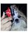 Rasqueadeira Autolimpante para Cães Cachorros Gatos Savana Pet - Imagem 3