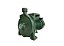 Bomba Centrífuga Thebe B-13 Solar Ci 950w 114v 36mca 8,3m3/h - Imagem 1