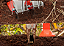 Plantadeira E Adubadeira Manual SCF-200 Kawashima - Imagem 6