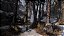 Jogo The Last of Us Remastered - Playstation 4 - Imagem 6