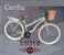 Bicicleta Vintage Verde Caribe - Cesta Vime Banco Couro 18 Marchas - Imagem 2
