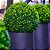 Kit 8 Peças Bolas de Buchinho Artificial Grama Verde 11cm Decoração Festa Planta Enfeite - Imagem 2
