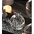 Potiche Pote Bomboniere Baleiro de Vidro Cristal Bird Pássaro Wolff Decorativo - Imagem 2