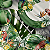 Jogo De Pratos Raso Jantar Cerâmica 29cm Kit 4 Peças Refeição Paradiso Alleanza Tropical - Imagem 3