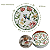Prato de Sobremesa Harmony 21cm Cerâmica Decorado Floral Alleanza - Imagem 6