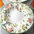 Prato Fundo Harmony 25cm Sopa Cerâmica Decorado Floral Alleanza - Imagem 5