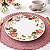 Prato Raso Jantar Refeição 26cm Garden Porcelana Decorada Oxford - Imagem 3