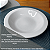 Prato Fundo Jantar Sopa 21cm Protel Porcelana Decorada Schmidt - Imagem 4