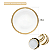 Prato Raso Jantar Borda Dourada Ouro 19cm Porcelana Paddy Luxo Wolff - Imagem 4