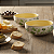 Jogo de Bowls Kit 4 Peças Tigela 620ml 15cm Siena Eucalipto Cerâmica Florarte - Imagem 6