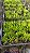Podocarpo (mudas) Podocarpus macrophyllus - Imagem 1