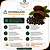 Ataré (Pimenta-da-Costa) 10g | Aframomum melegueta Natural para Uso Tradicional – Maria Jupyra - Imagem 12