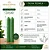 Vela Palito Verde 18cm 1 kg – Aproximadamente 30 a 33 Unidades - Imagem 4