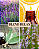 Roll on óleos essenciais Relax - Imagem 2