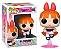 [PRÉ-VENDA] Funko Pop - Powerpuff Girls/As meninas Superpoderosas -  Blossom/Florzinha 1080 - Imagem 1