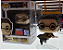 Funko Pop! Harry Potter - Harry Potter (Quidditch) 188 (CCXP25) - Imagem 1