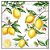 Guardanapo - 13311520 - Citrus - 33x33cm - Imagem 1