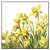 Guardanapo - 13316195 - Golden Daffodils - 33x33cm - Imagem 1
