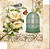 Papel para Scrapbook - SD-0371 - Pássaro e Gaiola - Imagem 1