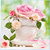 Guardanapo - G3-055 - Cup Of Roses - 33x33cm - Imagem 1