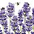 Guardanapo -  1333956 - Bees Lavender - 33x33cm - Imagem 1