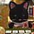 Família Dos Gatos Meia Noite Sylvanian Families Epoch Magia - Imagem 4