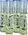 Kit 4 Óleos de Argan Hair Company 45ml - Tratamento Brilho - Imagem 5