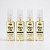 Kit 4 Óleos de Argan Hair Company 45ml - Tratamento Brilho - Imagem 2