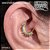 Piercing Argola Frontal Meia Lua - Imagem 5