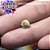 Piercing Concha do Mar - Imagem 5
