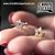Piercing Estrela Vazada em Pedrinhas - Imagem 3