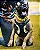 COLEIRAS SPORT PREMUIM - Imagem 11