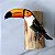 Tucano de madeira no Galho - Imagem 2