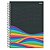 Caderno LoveWins Adesivo São Domingos 10 Materias 160 Fls Espiral - Imagem 2